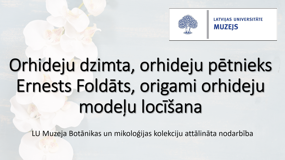 Prezentācijas par orhideju dzimtu, Ernestu Foldātu un origami orhideju locīšanu titullapa Prezentācijas par orhideju dzimtu, Ernestu Foldātu un origami orhideju locīšanu titullapaPrezentācijas par orhideju dzimtu, Ernestu Foldātu un origami orhideju locīšanu titullapa