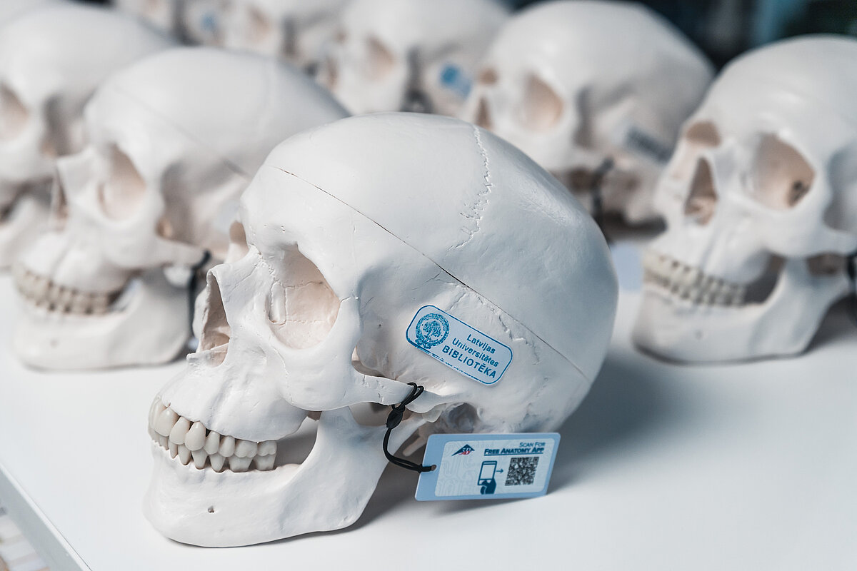 © Foto: Toms Grīnbergs, Latvijas Universitātes Komunikācijas departaments