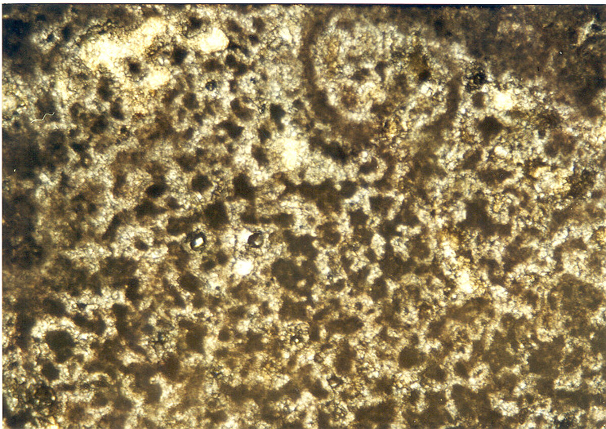 2. att. Travertīna paraugs no Brīvības pieminekļa, kur fiksēta dēdējusi virsma un ar piesārņotu poru telpu. Foto: V. Hodireva 