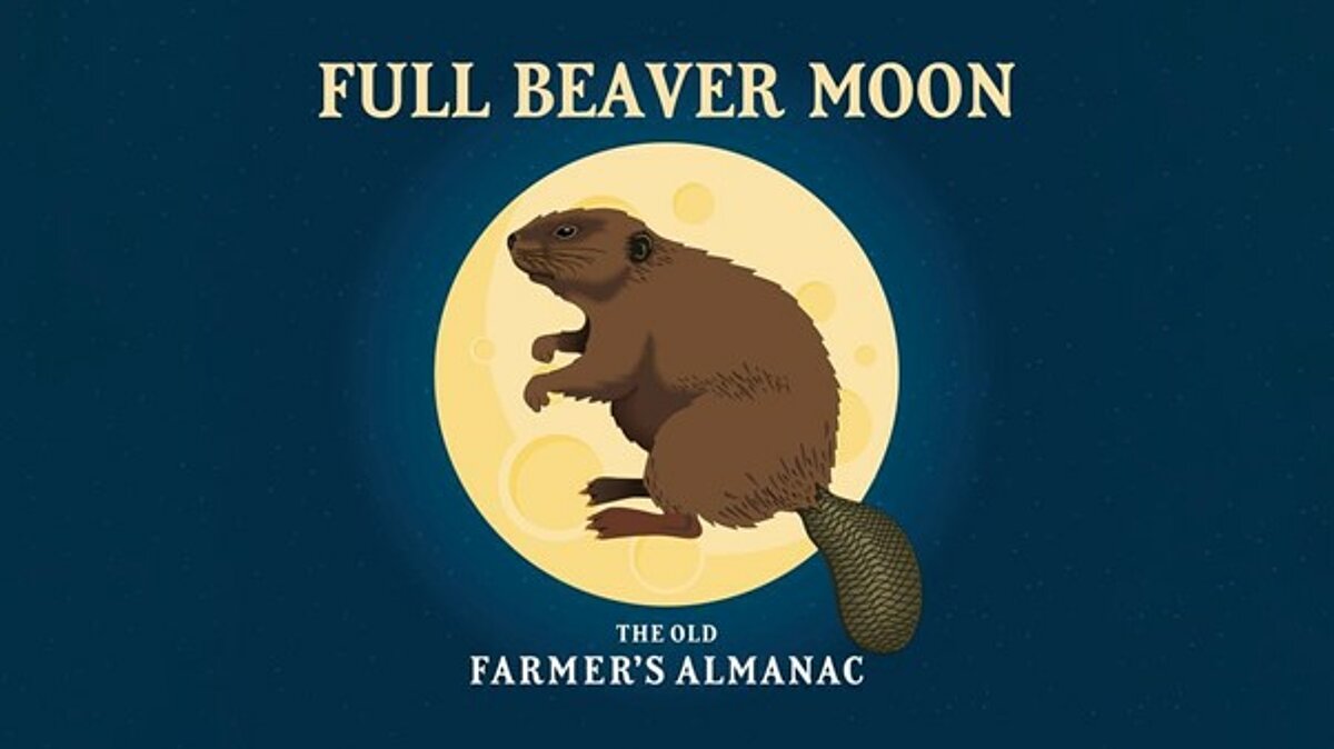 Photo Credit: Colleen Quinnell/The Old Farmer's Almanac Photo Credit: Colleen Quinnell/The Old Farmer's Almanac