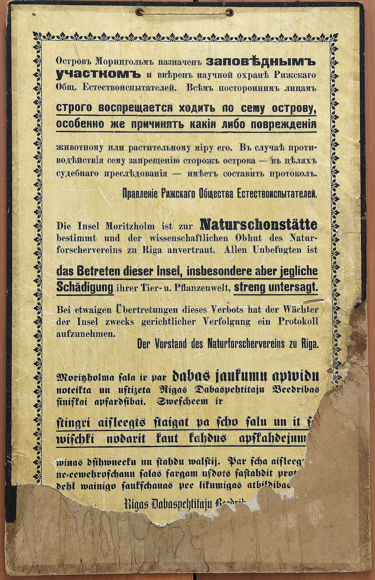Moricsalas rezervāta vēsturiskā izkārtne. 1912./1913. gadi. Foto: Sarmīte Livdāne Moricsalas rezervāta vēsturiskā izkārtne. 1912./1913. gadi. Foto: Sarmīte Livdāne