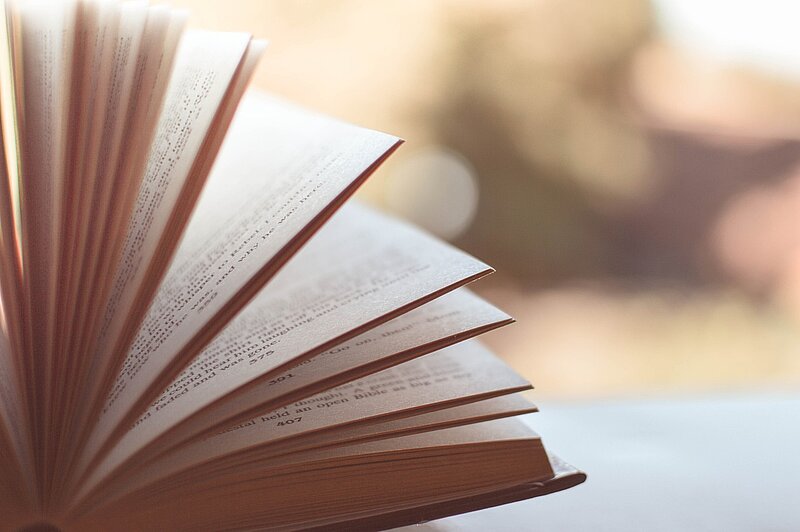 Izstrādāts ziņojums par studiju programmu "Latviešu valodas kā svešvalodas skolotājs"