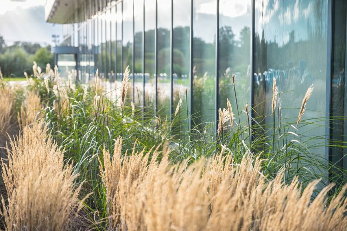 © Foto: Toms Grīnbergs, Latvijas Universitātes Komunikācijas un inovāciju departaments