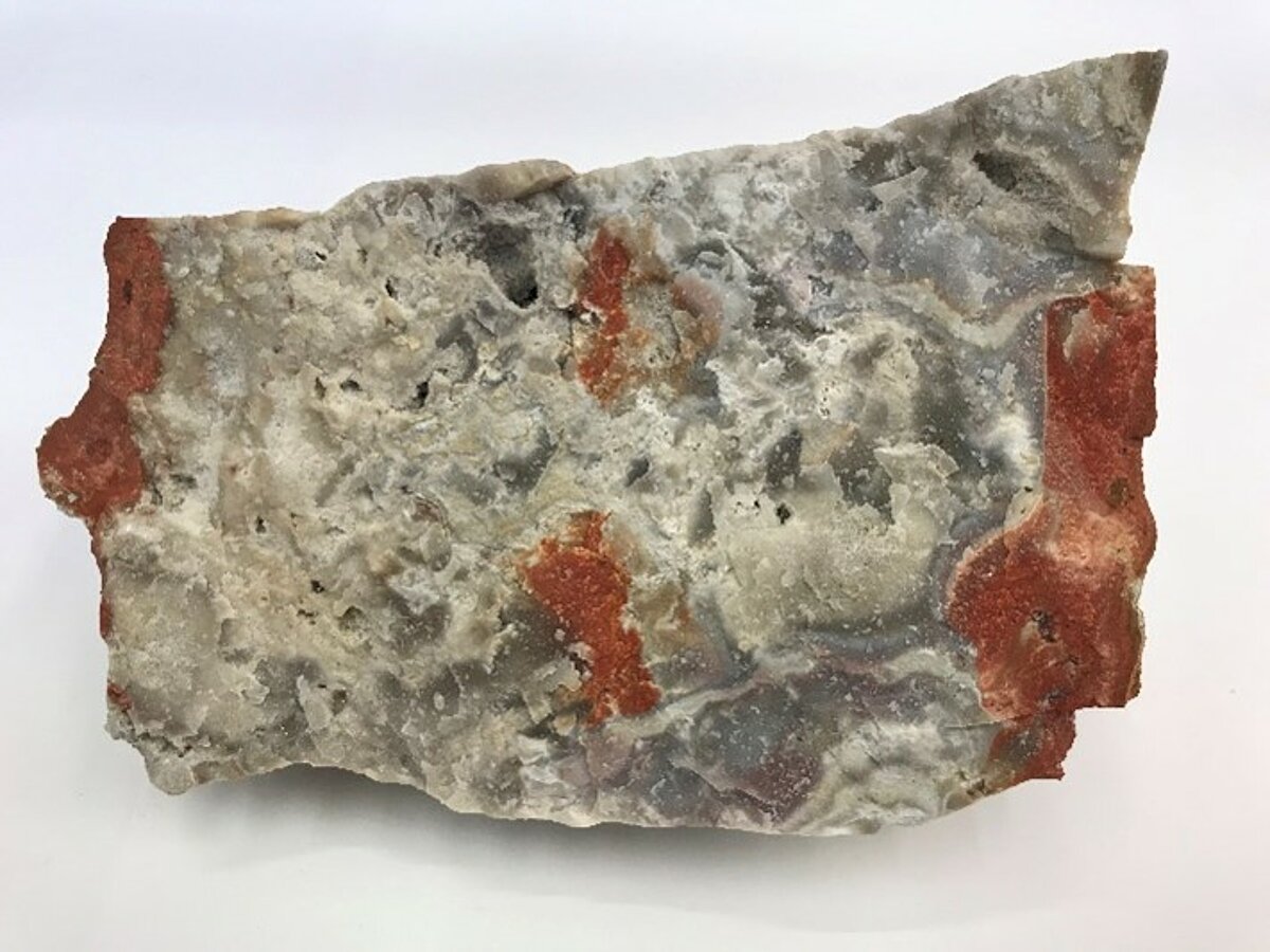 Lielākais krama - ahāta veidojums Daugavas svītas dolomītos (eksponēta daļa no parauga). Atsegums "Lace Sunset", Ogres novads. D. Vorobjovs 2022. Foto: V. Hodireva Lielākais krama - ahāta veidojums Daugavas svītas dolomītos (eksponēta daļa no parauga). Atsegums "Lace Sunset", Ogres novads. D. Vorobjovs 2022. Foto: V. Hodireva